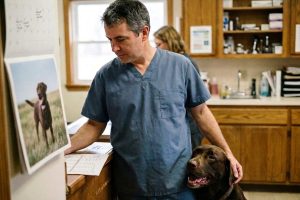 A veterinarian in blue scrubs standing at the back-office counter with his hand resting on a chocolate labrador beside him.