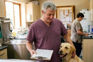 A veterinarian reading a printed growth summary in his treatment room, a happy young labrador leaning against his leg.