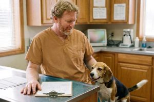 A veterinarian in his treatment room reading a printed equipment quote on a clipboard, a happy beagle waiting at his feet.